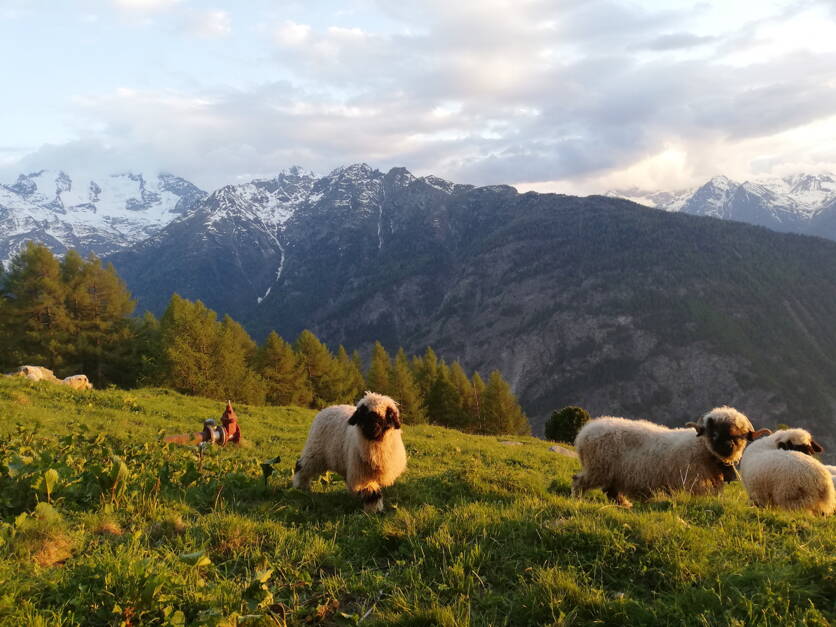 ab25_foto_kulturlandschaft.jpg ab25_foto_kulturlandschaft.jpg