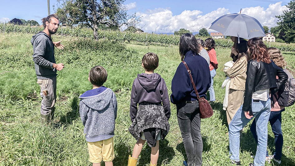 07_politik-pre-blw.jpg 07_politik-pre-blw.jpg