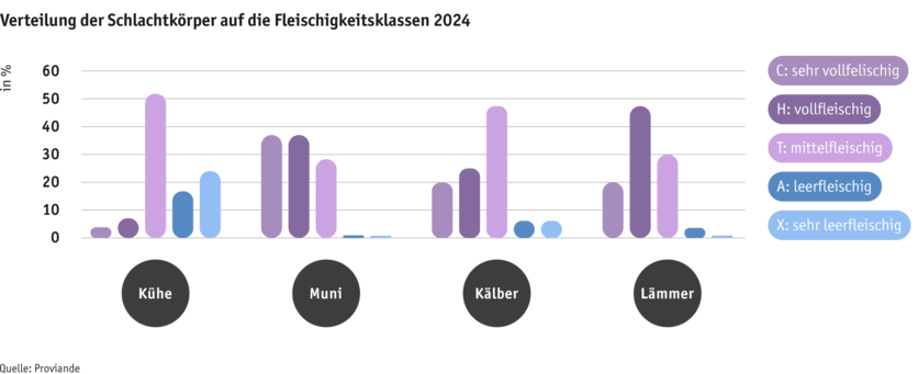 ab25_datentabelle_grafik_politik_prod_viehwirtschaft_fleischigkeitsklasse_d.png Zoom: ab25_datentabelle_grafik_politik_prod_viehwirtschaft_fleischigkeitsklasse_d.png