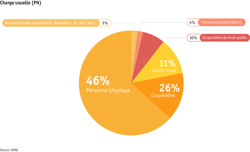 ab24_betrieb_strukturen_grafik_rechtsformen_sommerung_f_2.png