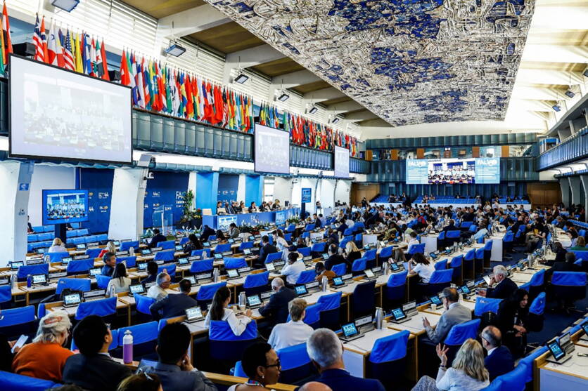 2025_international_bild_fao.jpg 2025_international_bild_fao.jpg